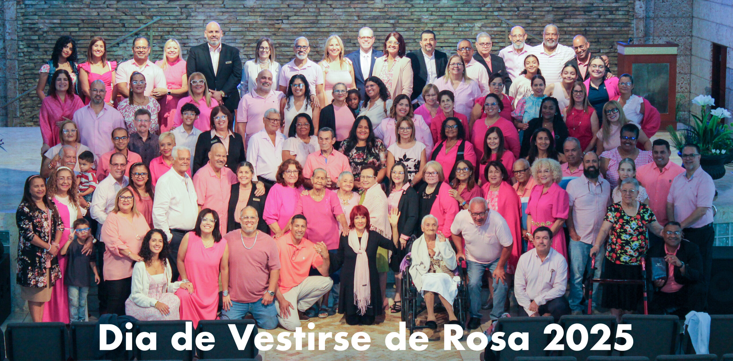 Viste de Rosa 2025