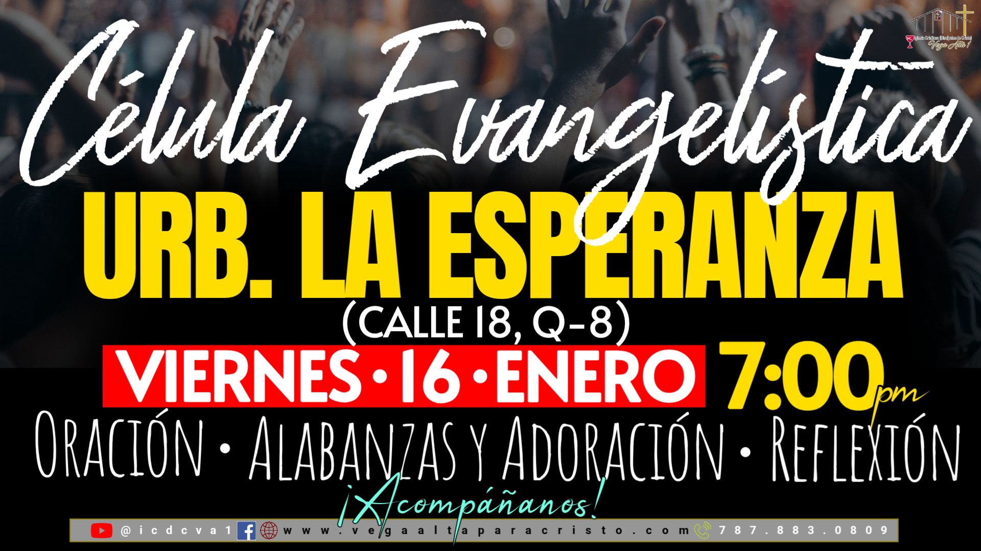 WhatsApp Image 2026-01-12 at 14.58.18